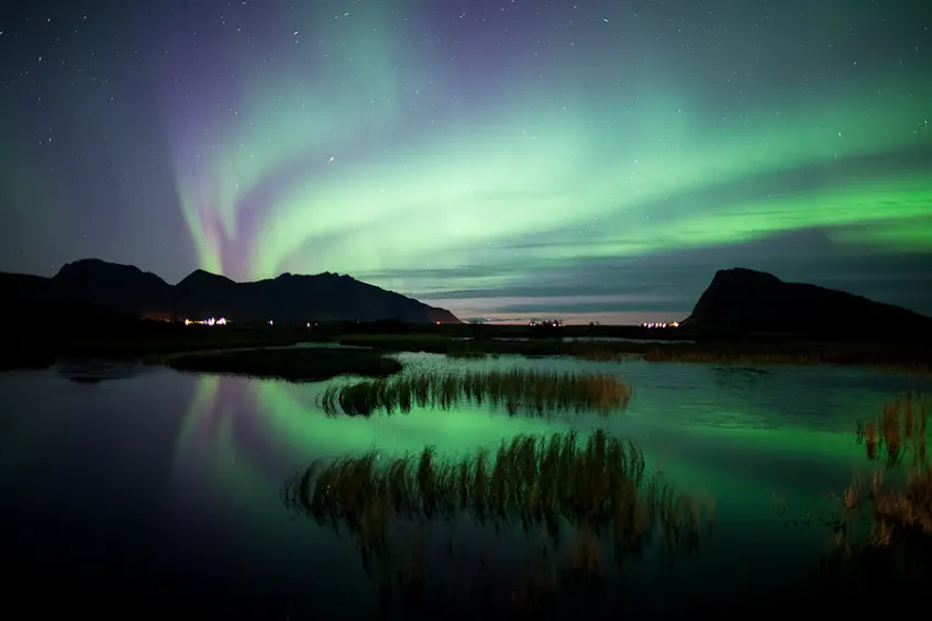 Northern Lights Chasing Lofoten reflections sea