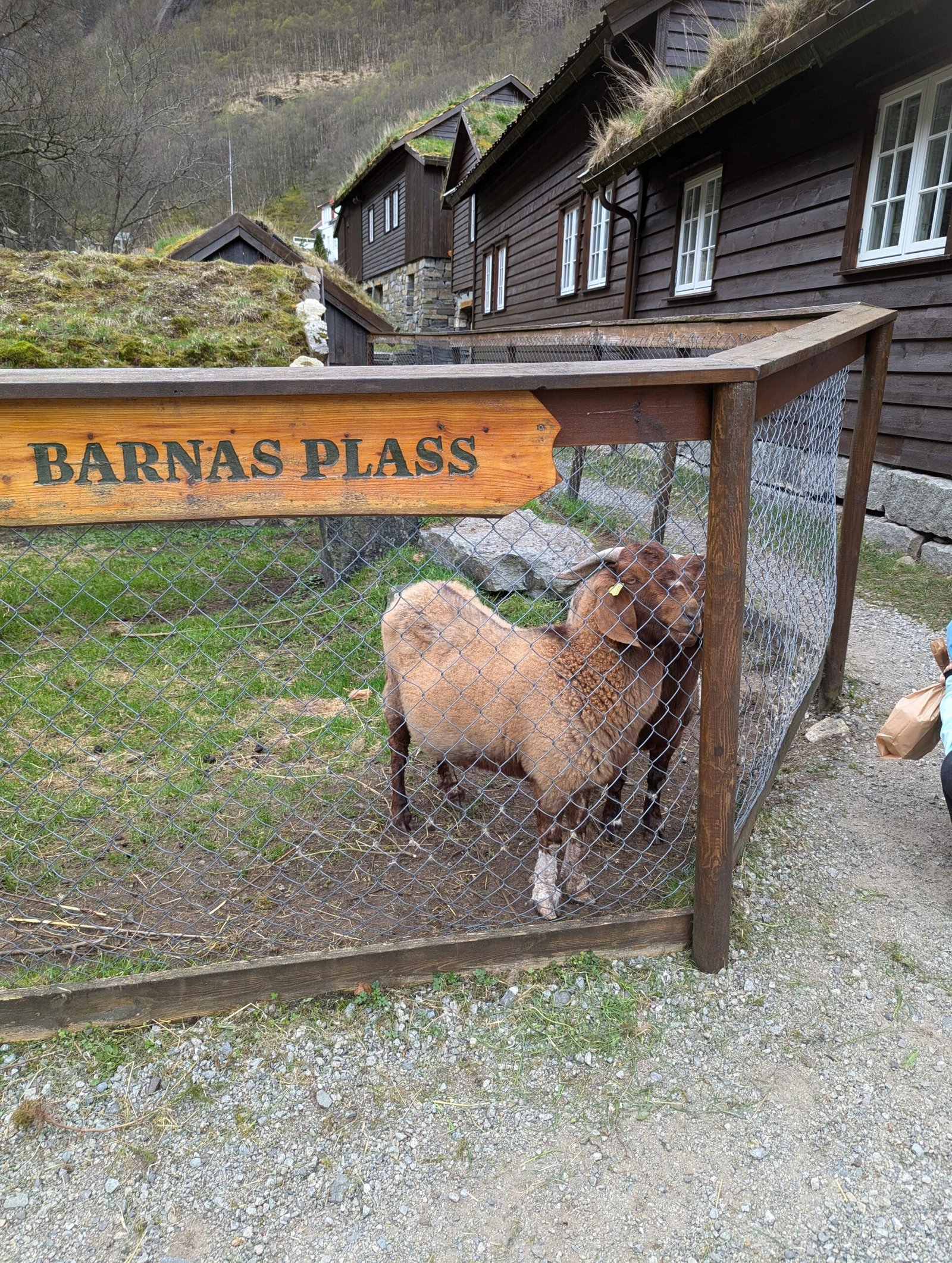 Månafossen Waterfall Hike - A Hidden Gem in the Fjords